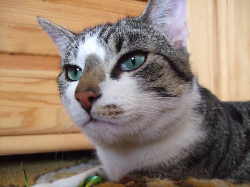 Ostern 2007 Orleshausen 147 